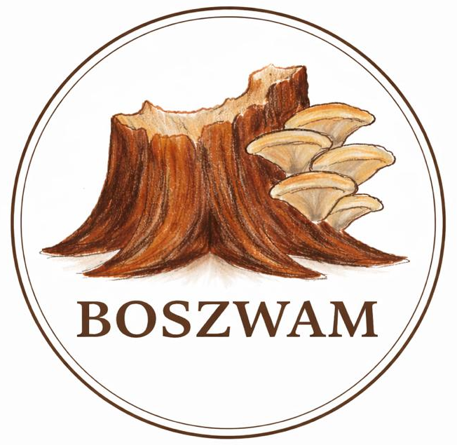 Boszwam logo