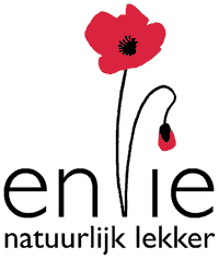 Envie logo
